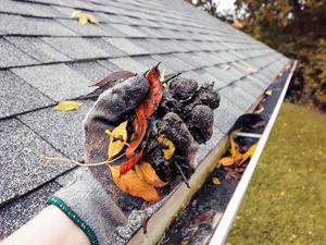 Renhold av takrenner